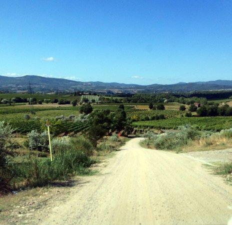 Agriturismo Relais Poggio Primo Borro Экстерьер фото