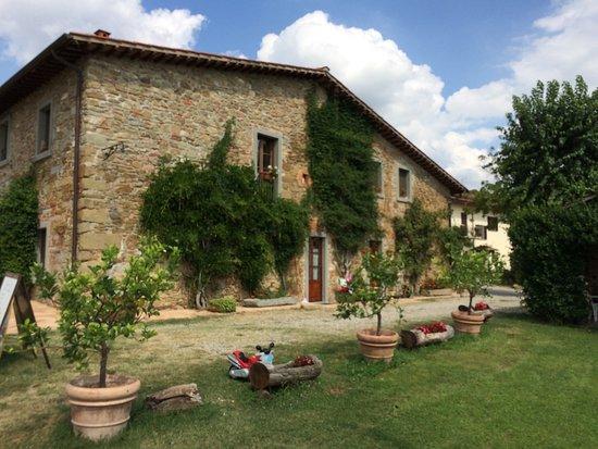 Agriturismo Relais Poggio Primo Borro Экстерьер фото